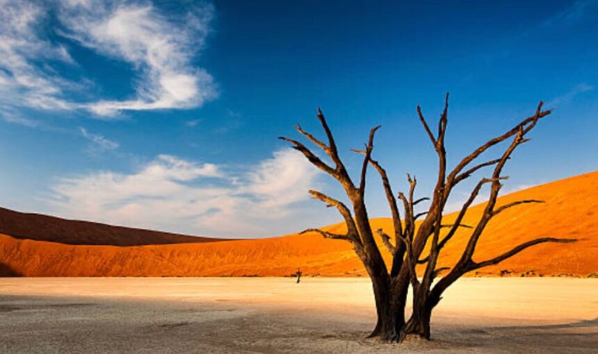 2-Day Sossusvlei Getaway